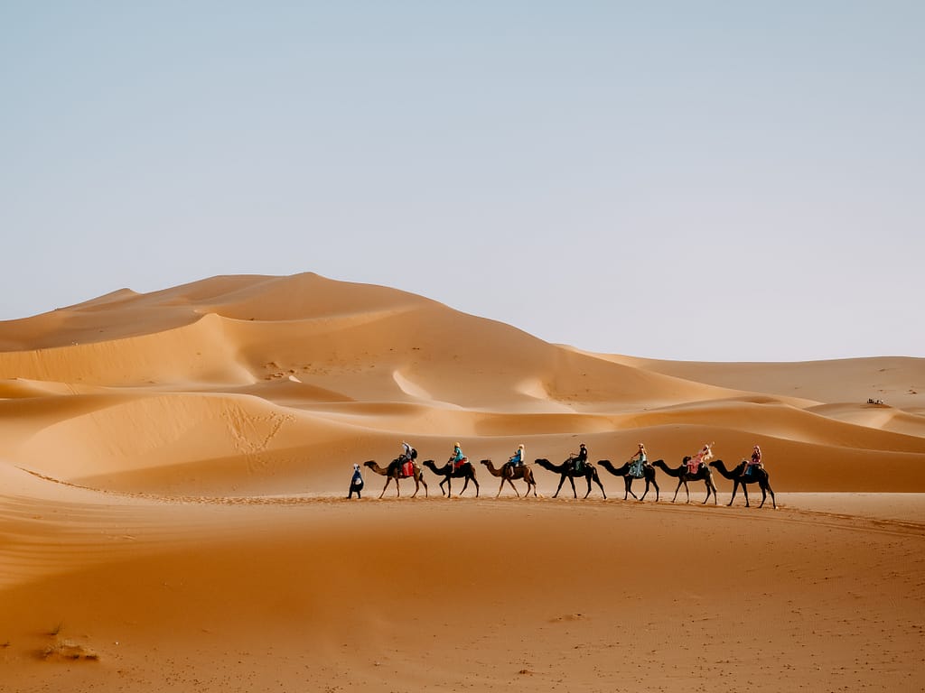 Fes Expedition - Fez Sahara Tour | Morocco Travel 2024/2025